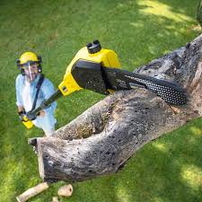 Best Aeration Services  in Frazer, PA