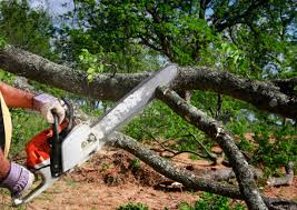 Best Lawn Watering Services  in Frazer, PA